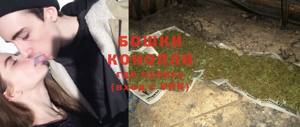 PSILOCYBIN Баксан