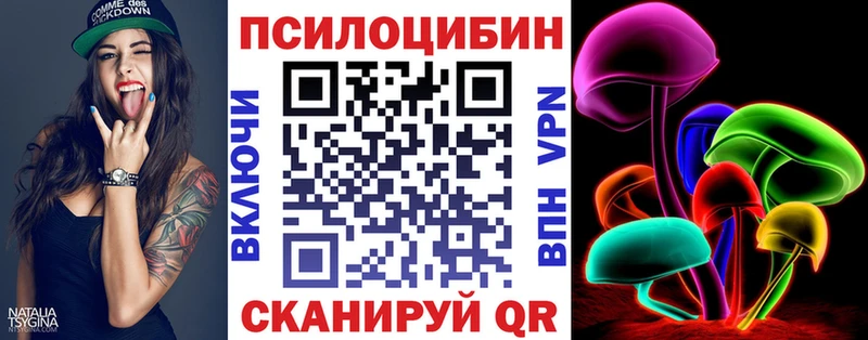 где продают   гидра зеркало  Галлюциногенные грибы Psilocybine cubensis  Мурино 