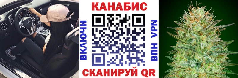 ссылка на мегу зеркало  Мурино  Бошки марихуана AK-47  цена наркотик 